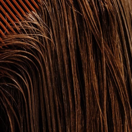 *Black Friday* New You at Kelly At Kist Salon And Spa in MA, MA