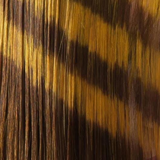 *Black Friday* Glow Up at Kelly At Kist Salon And Spa in MA, MA